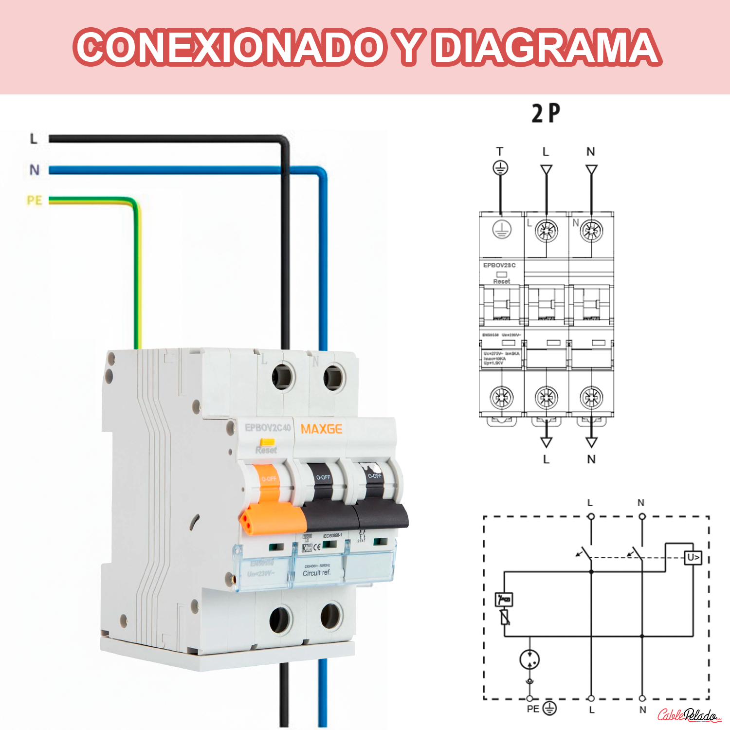 Protector combinado sobretensiones permanentes transitorias  Blanco 40 A