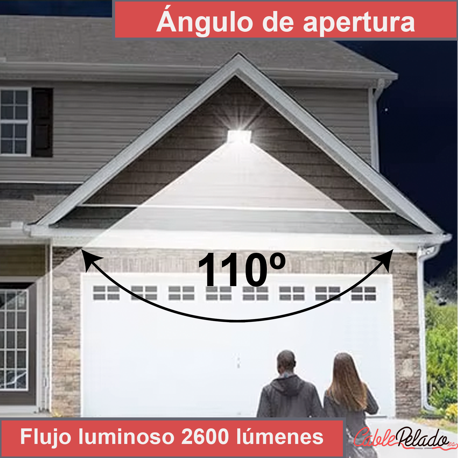 Proyector LED 60K F  Negro  30W
