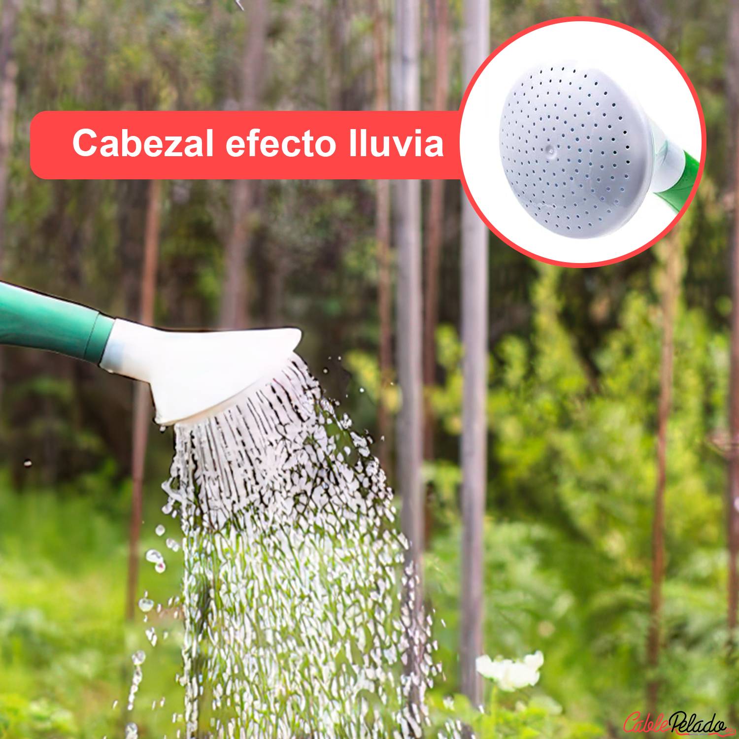 Regadera De Plastico 2 Litros  Verde