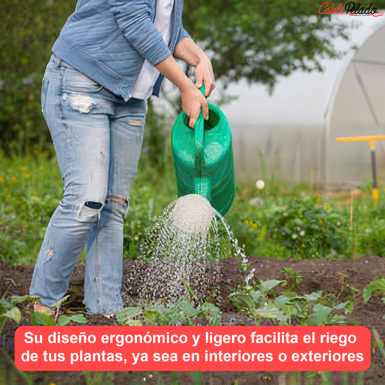 Regadera De Plastico 2 Litros  Verde