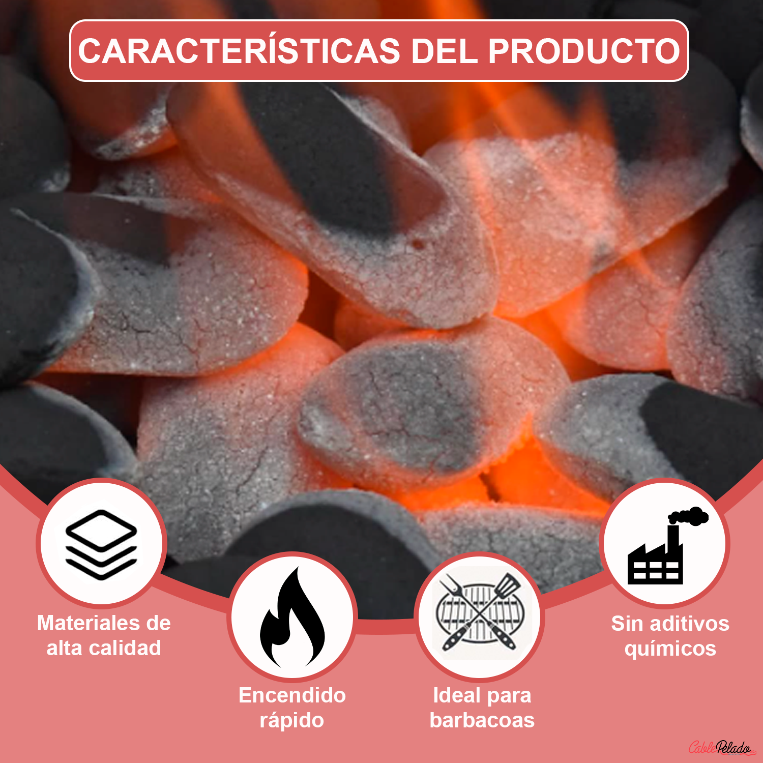 Saco Briquetas de Carbón 3 Kg