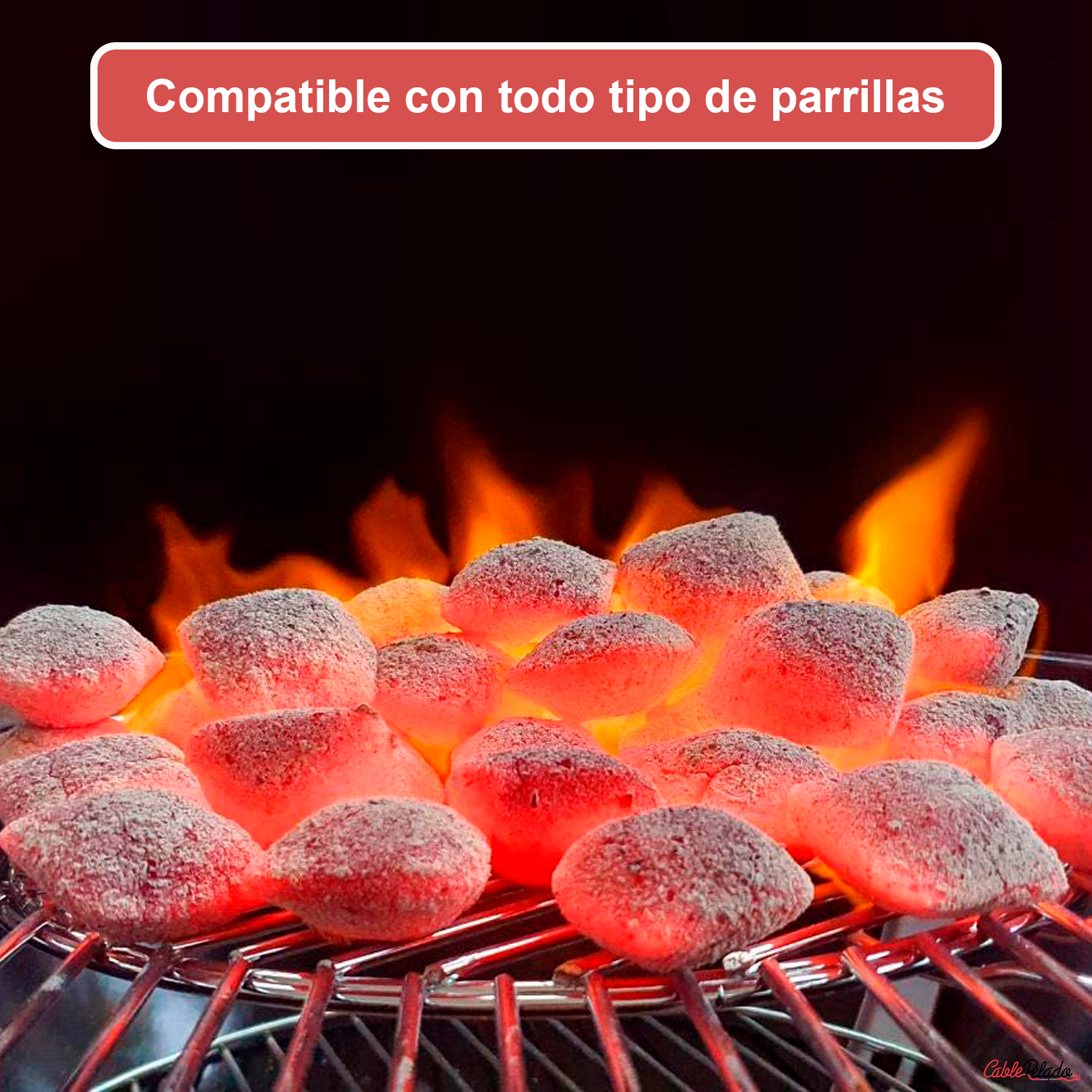 Saco Briquetas de Carbón 3 Kg