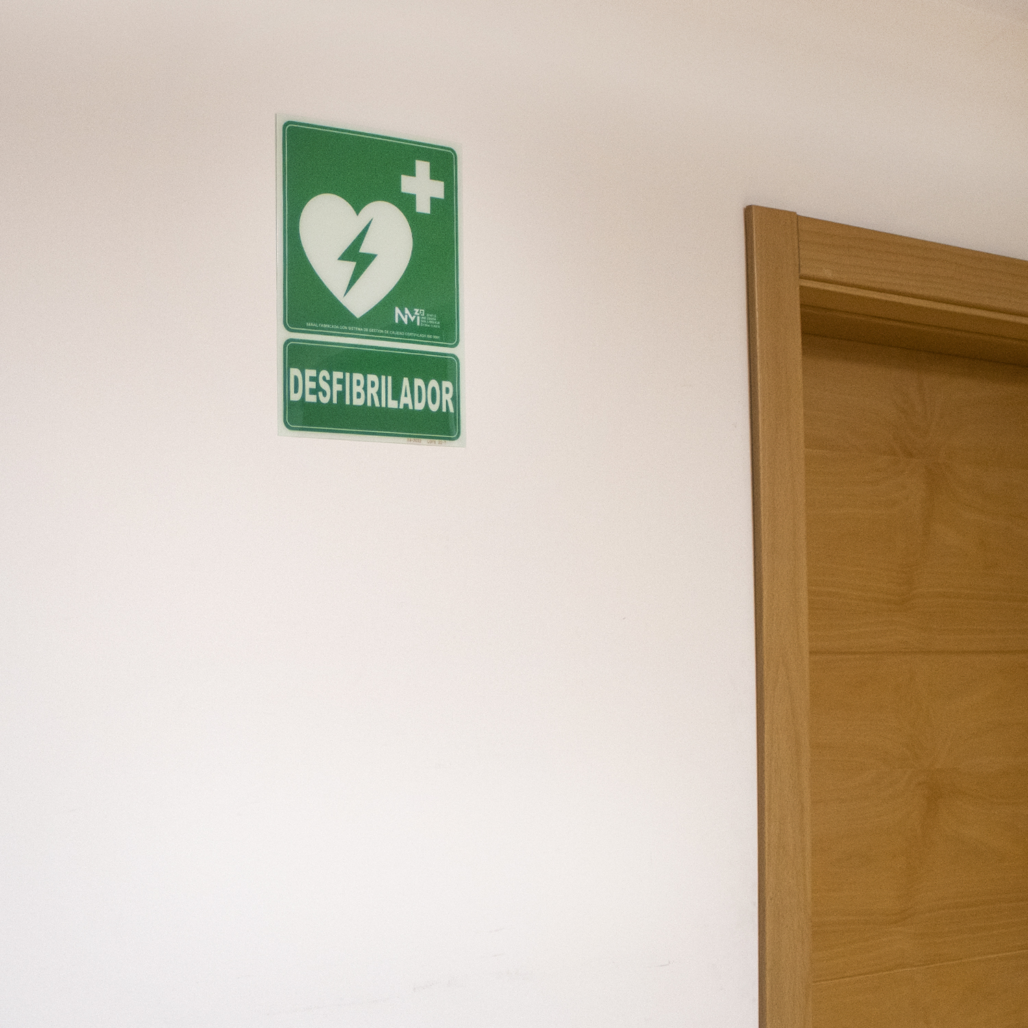 Señal Luminiscente DesfibriLador PVC 22.4x30 cm  Verde