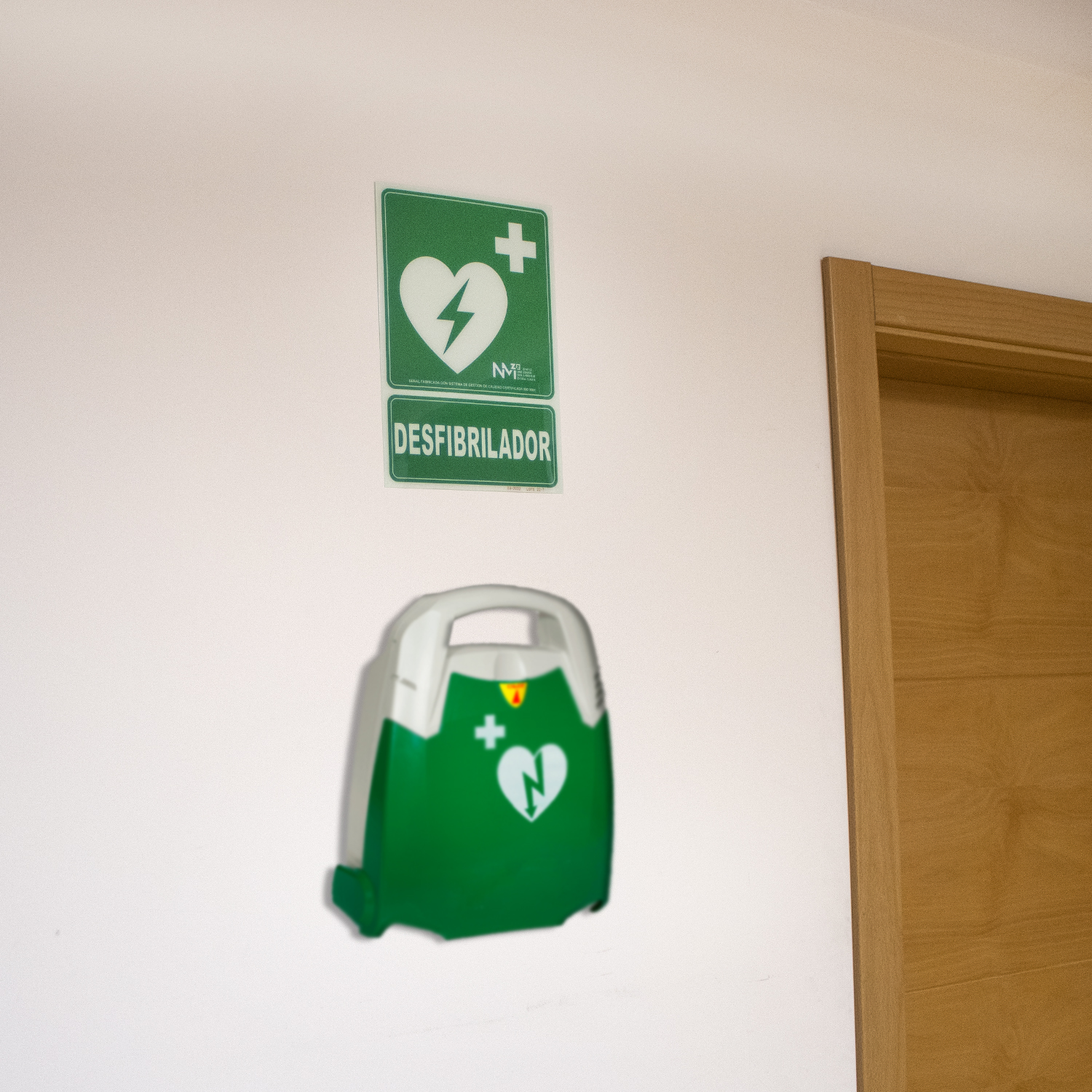 Señal Luminiscente DesfibriLador PVC 22.4x30 cm  Verde