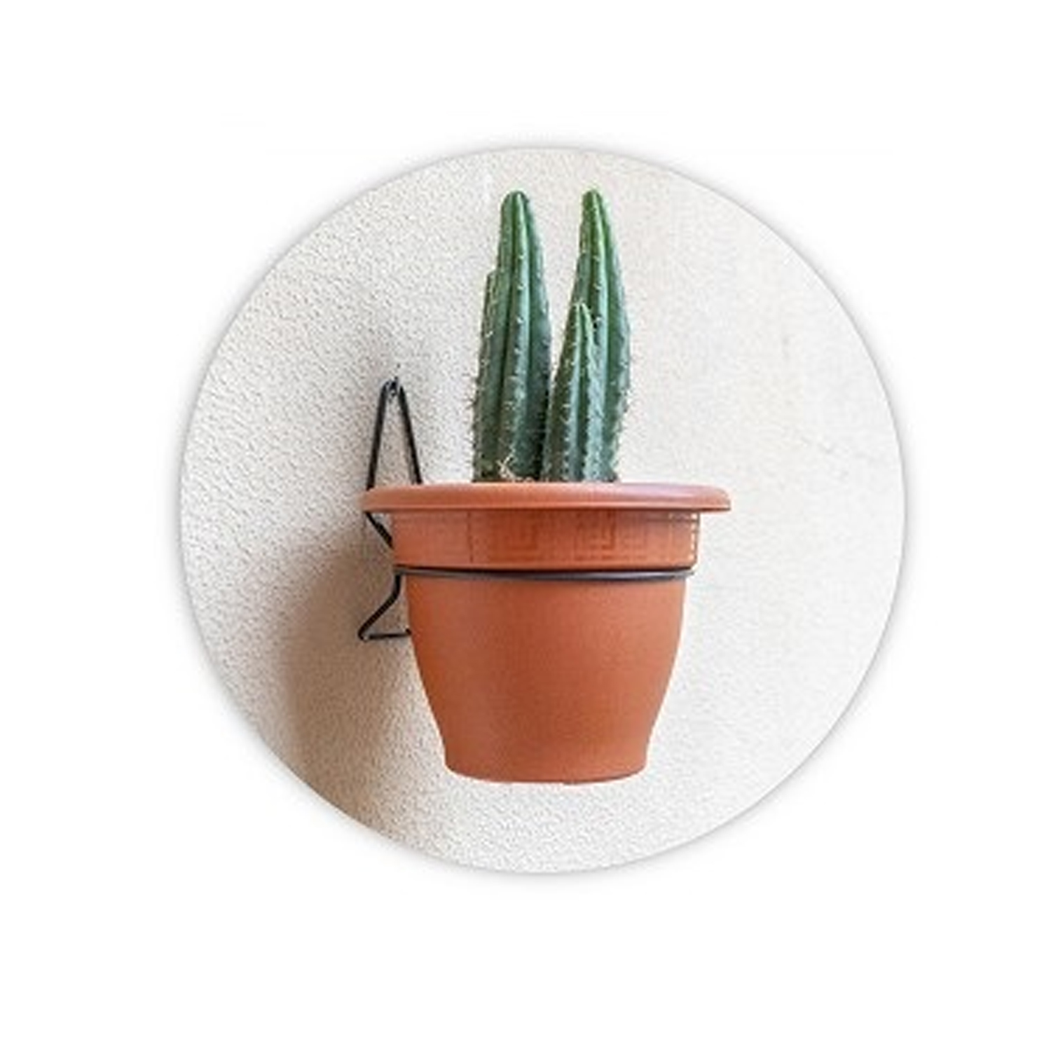 Soporte Metal para maceta de pared 20 cm Negro