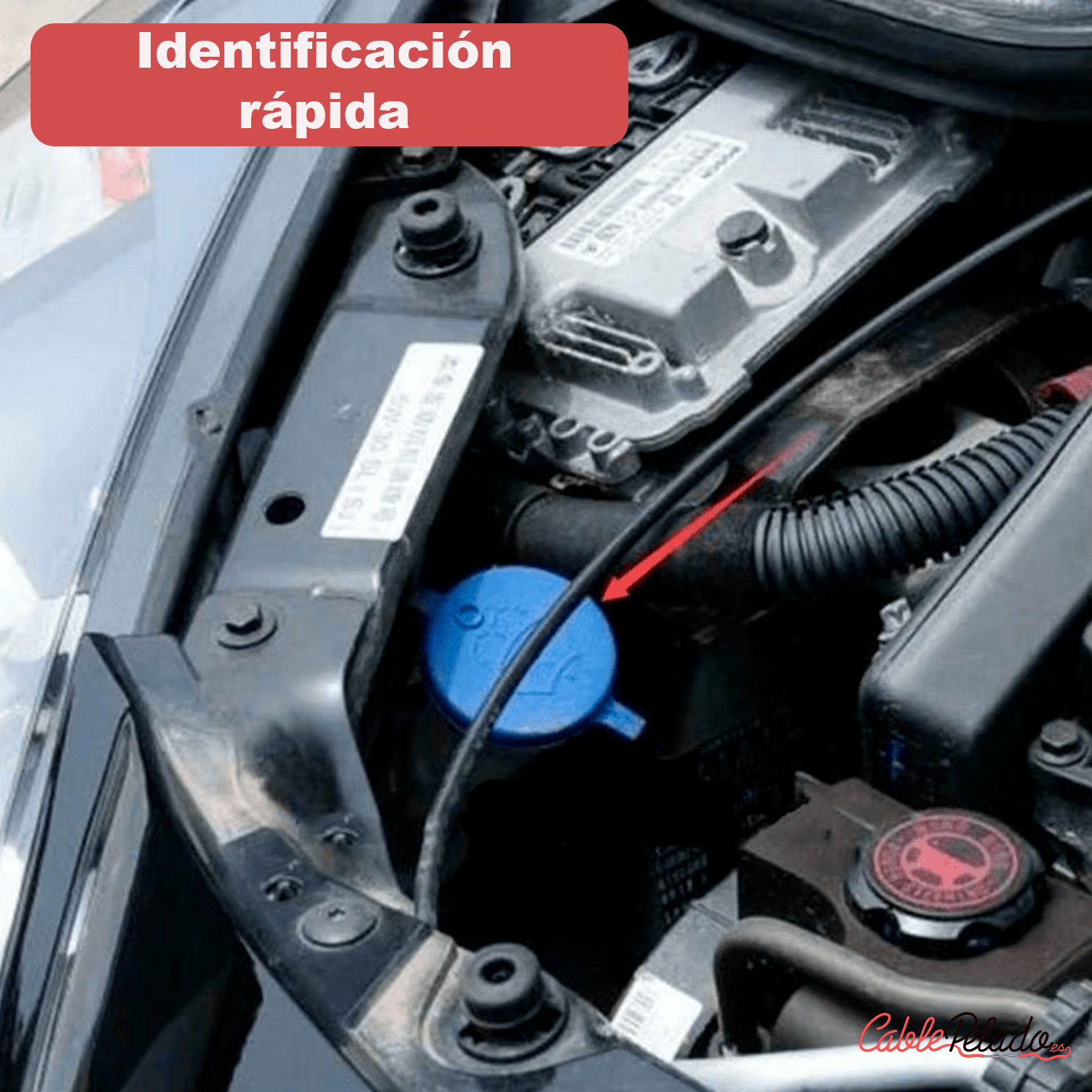 Tapa De Cierre Deposito De Agua Del Limpiaparabrisas  Azul