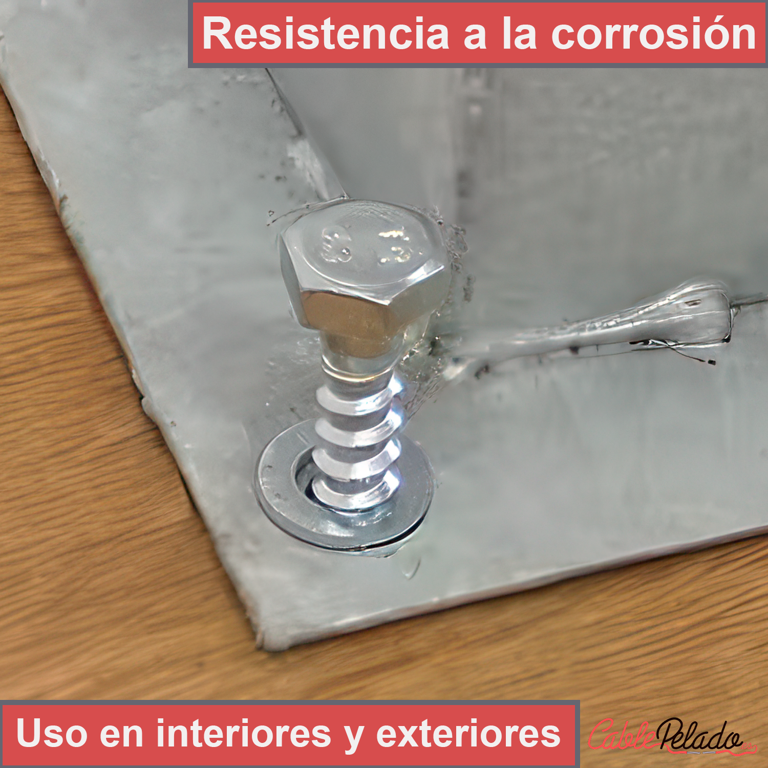 Tornillo/Tirafondo cabeza hexagonal DIN 571 8X60  Plateado